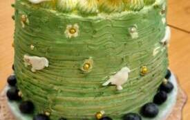 Galeria aktualności Seniorzy w akcji: kreatywne torty i kulinarna pasja na kursie &bdquo;Żyjmy zdrowo&rdquo; 2